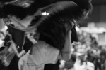 Etab_20120420_9758